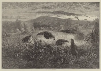 Os meses de setembro